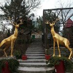 зоопарк в Ялте